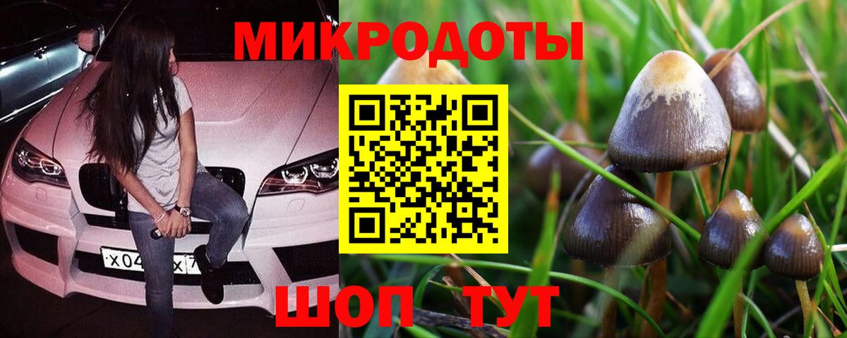 Псилоцибиновые грибы Cubensis Волгодонск